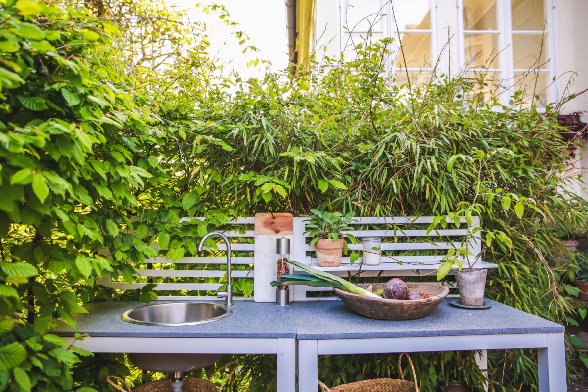 27501 Blogg_Bellac press_27501.jpg