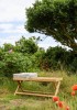 44025 Turin_bench_pego press_44025.jpg