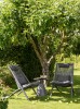 44188 Chiavari_armchair press_44188.jpg