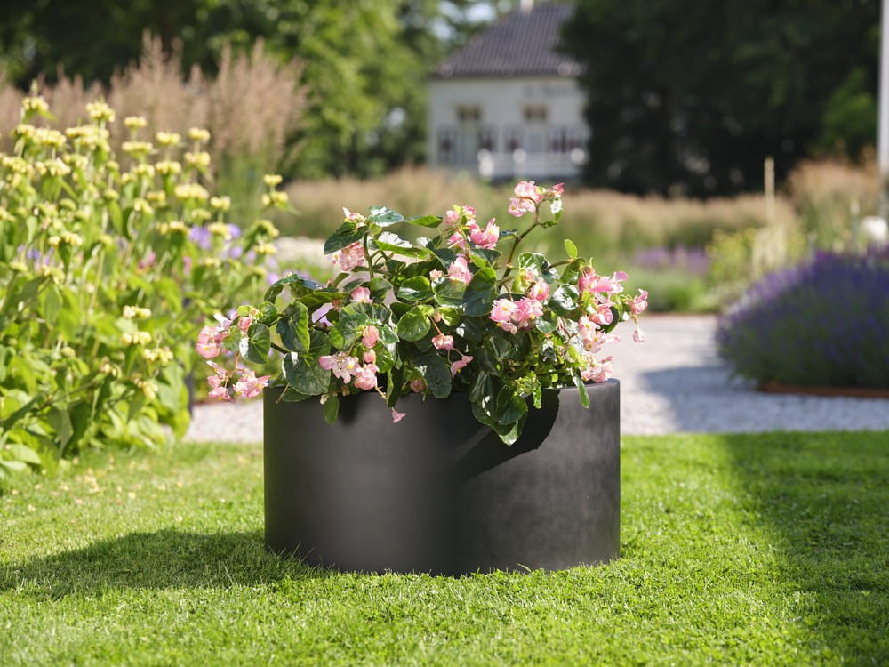 preview_Charm black_04.jpeg