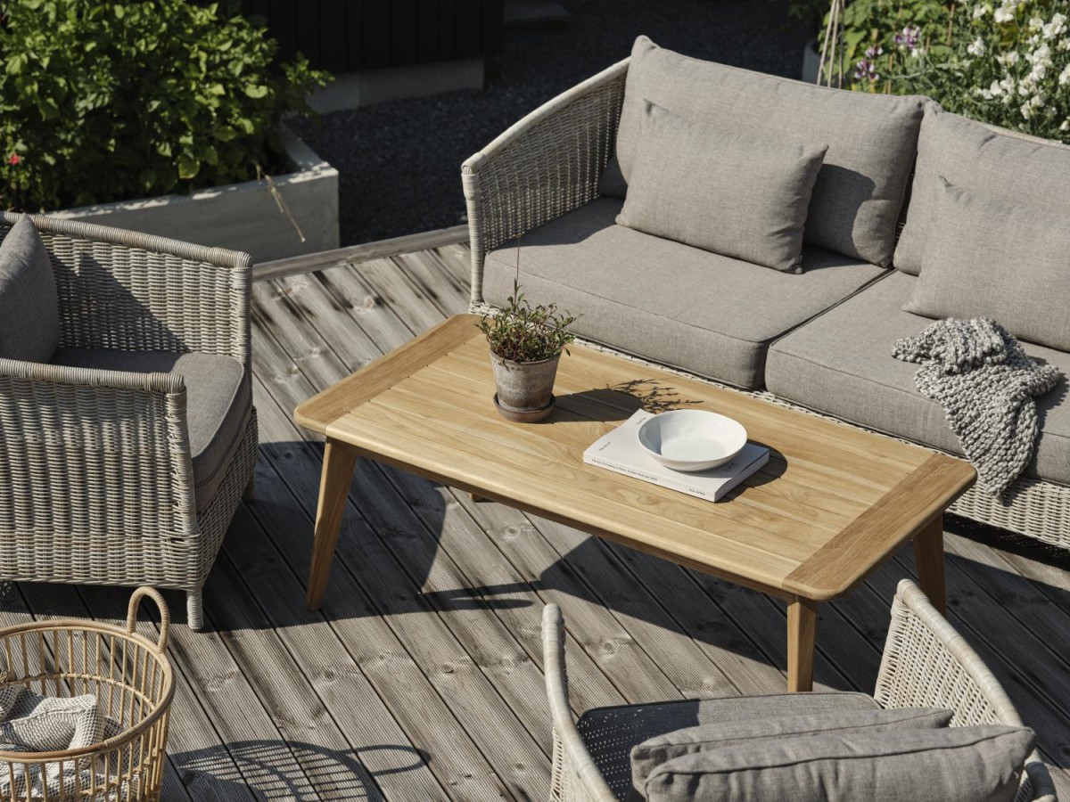 88964 Aster_Lilja_Ramsta_closeup screen_88964.jpg