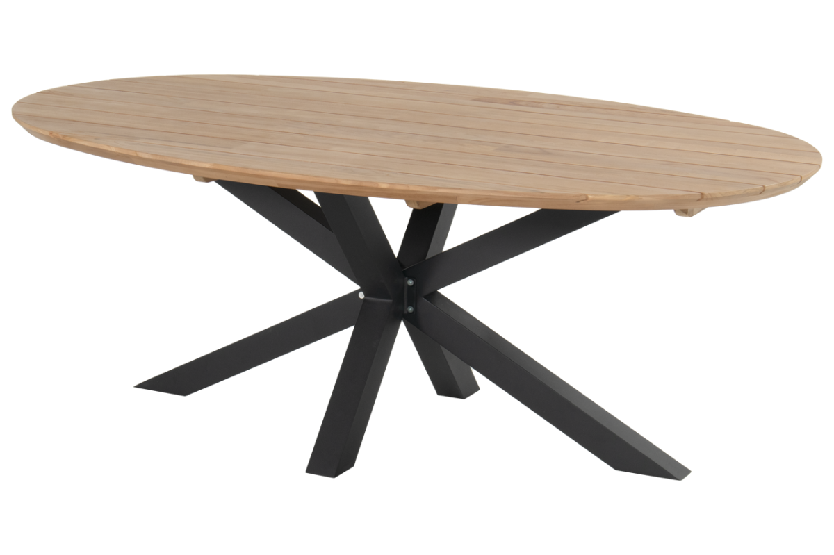 lr_53630208_1 (1).png