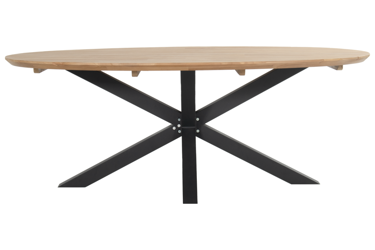 lr_53630208_2 (1).png