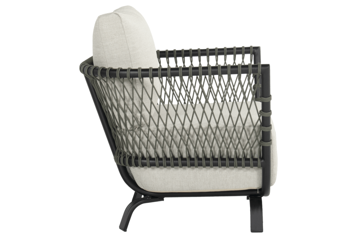 lr_72985780_3 (1) (1).png