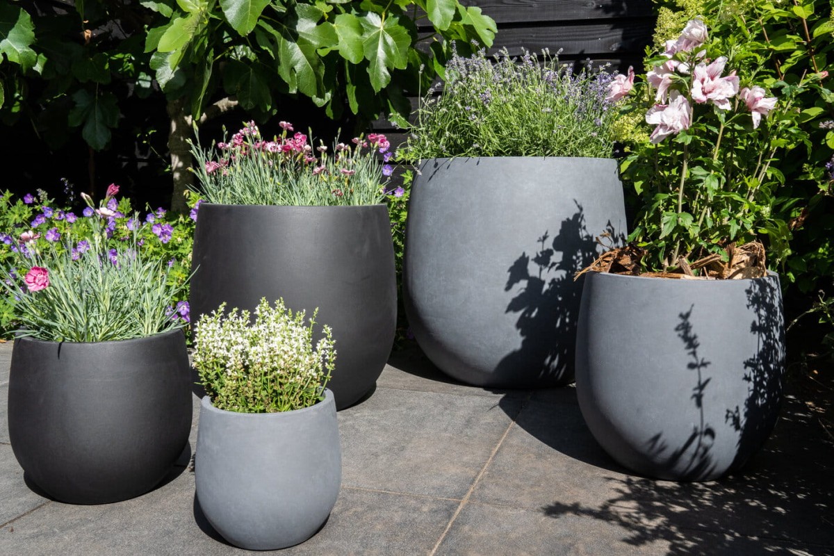 Zestaw-5-donic-z-gliny-wloknistej-Armin (2).jpg