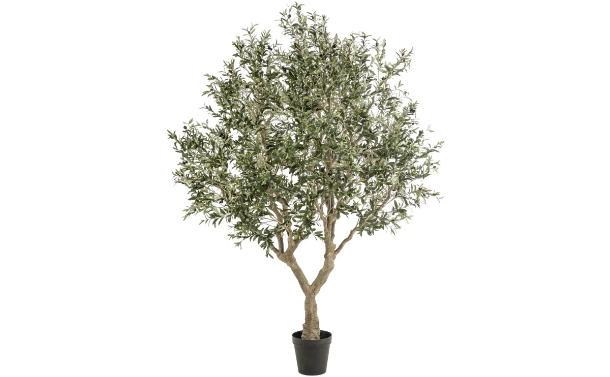 Projekt bez nazwy_11zon.webp