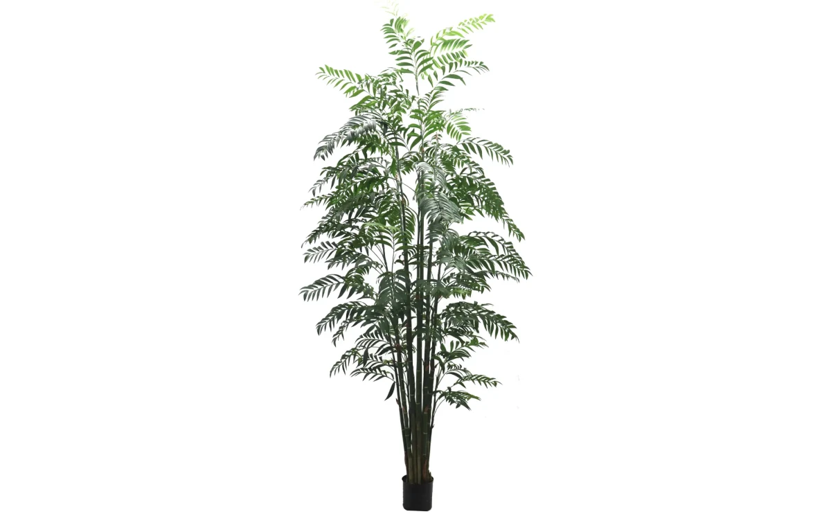 Projekt bez nazwy_11zon.webp