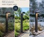 Solar Spike Light OLIVIA Images-940x788-c.jpg