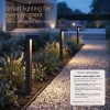 Solar Spike Light OLIVIA Images-1200x1200-c.jpg